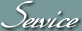 &Uuml;berschrift Service